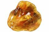 mm Spider (Araneae) & Two Flies In Baltic Amber #123373-4